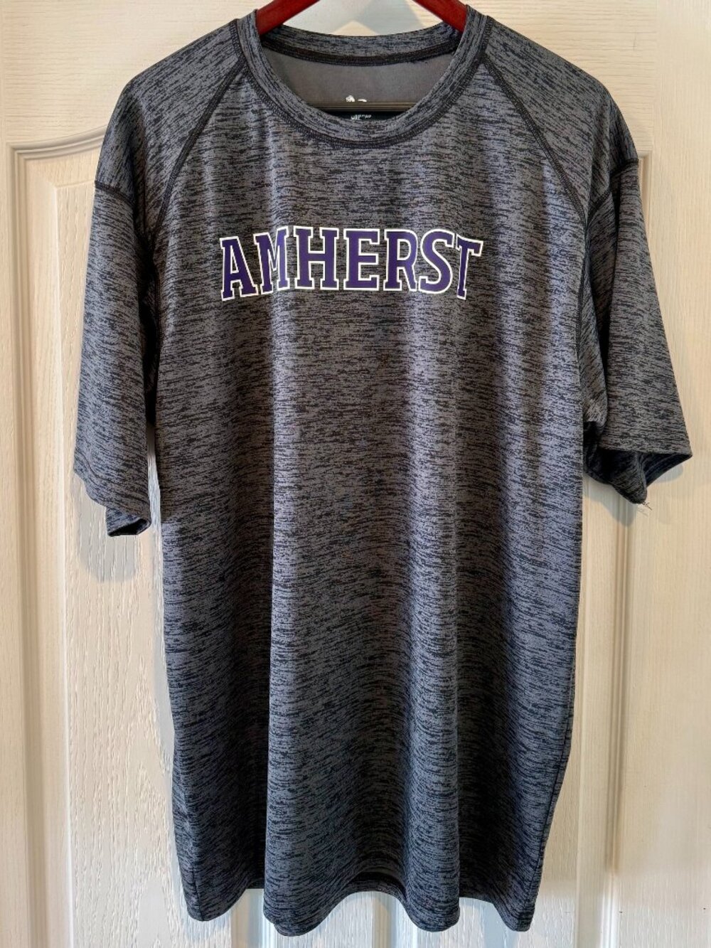 Amherst College Short-Sleeve Moisure-Wicking T-Shirt, Loose Fit, Men's XL, Gray